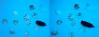 underwater detection project thumbnail