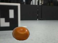 Augemented_Data+Auto_boundingbox project thumbnail