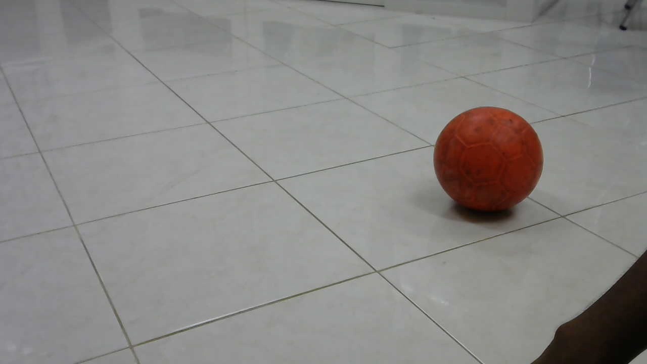 ball detection Object Detection Dataset and Pre-Trained Model by myproject