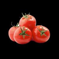 tomato cherry rose project thumbnail