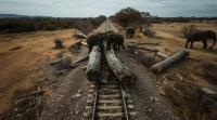RAIL WAY project thumbnail