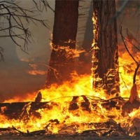 Fire_Detection project thumbnail