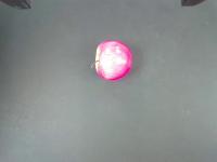 fruit project thumbnail