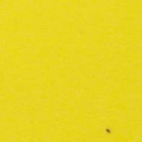 yujia_thrips project thumbnail