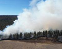 Forest Fire project thumbnail