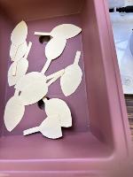 leaf project thumbnail