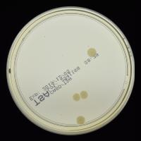 check agardataset project thumbnail