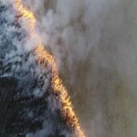 fire_detection project thumbnail