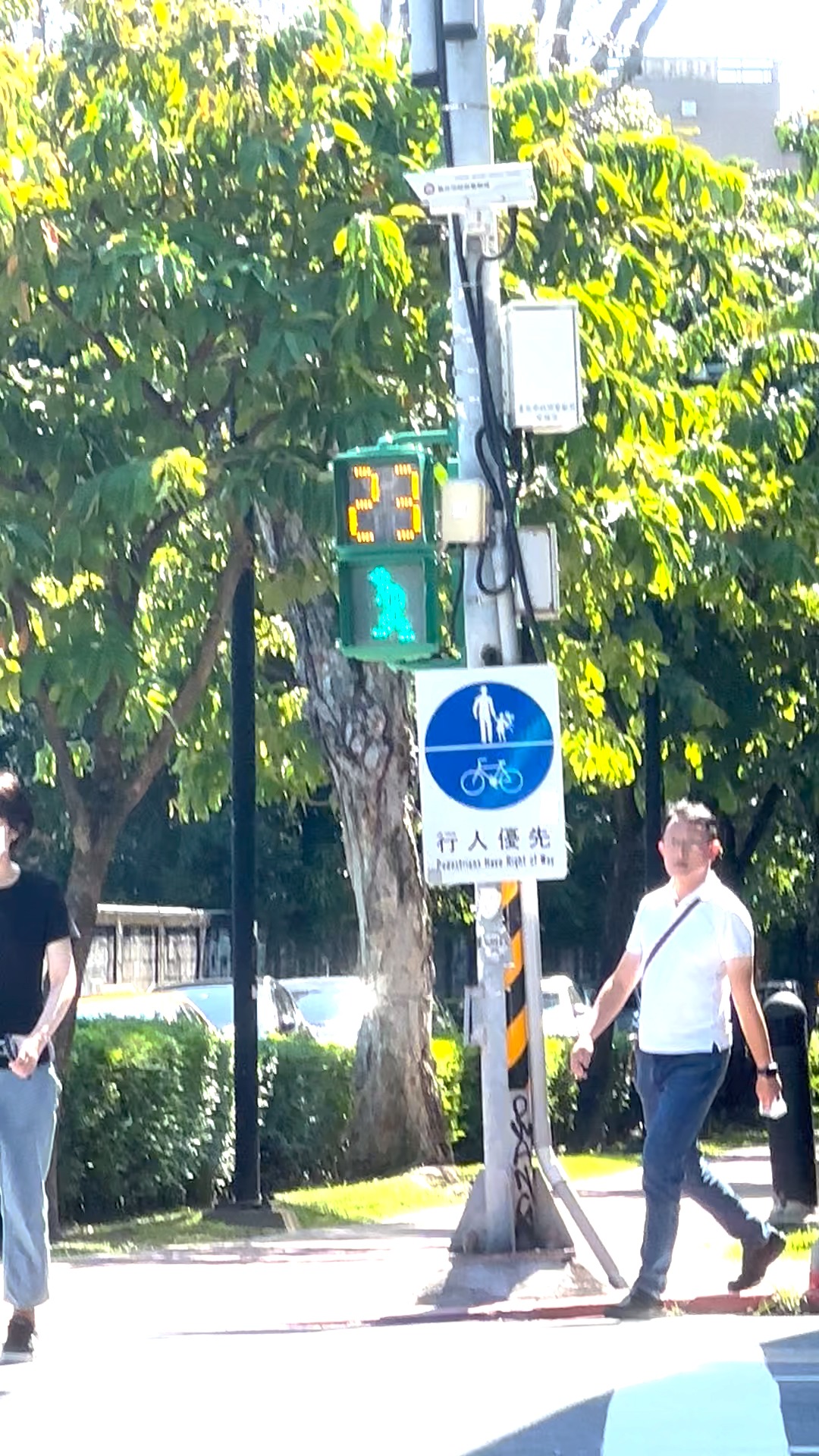 green Object Detection Dataset by wei