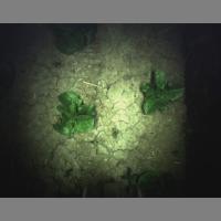 crop detect project thumbnail