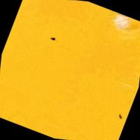 check_label project thumbnail