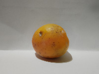 Tomato Sorter project thumbnail
