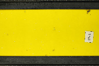 yellow-sticky-traps-dataset project thumbnail