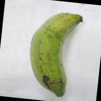 PLANTAIN PROJECT project thumbnail