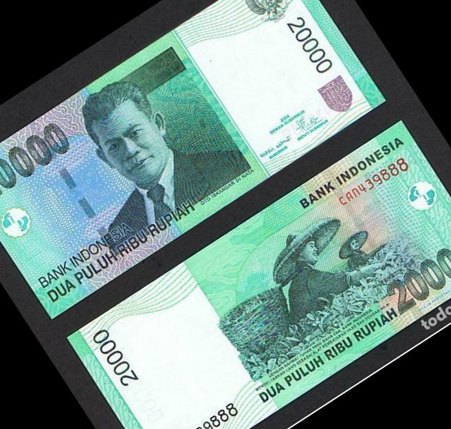 Indonecia Rupiah 20000 p2 Object Detection Dataset by Apliacion ...