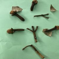 Clove Detection project thumbnail