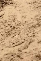 road surface type  project thumbnail