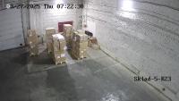 detection project thumbnail