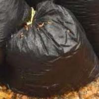 Trashlytica project thumbnail