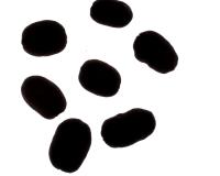 Coffee Bean Shape project thumbnail