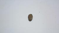Substandard Bean project thumbnail