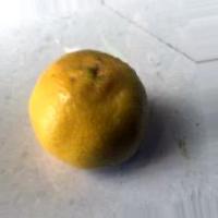 fresh_orange project thumbnail