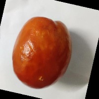 tomato project thumbnail