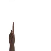 Hand Gesture Object Detection Dataset by Horyzn