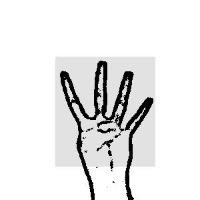 Hand Gesture Object Detection Dataset by Horyzn