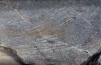 core bedding angles project thumbnail