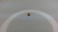 coffee beans project thumbnail