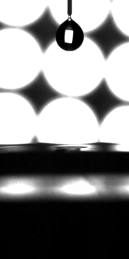 drop Object Detection Model by sam