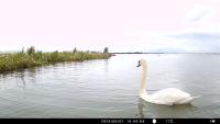 Birds @ Marker Wadden project thumbnail