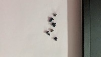 Dell System Screws Find project thumbnail