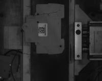 final training  project thumbnail