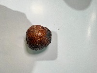 My First Project project thumbnail