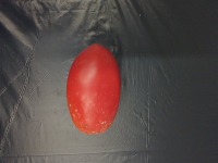 plant growth detection project thumbnail