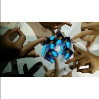 Dataset Image