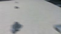 HIDAS-Stopper project thumbnail