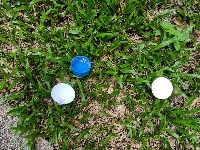 cup-cap-detectionan project thumbnail
