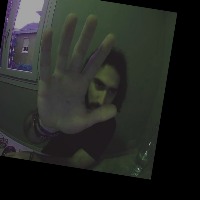 Dataset Image
