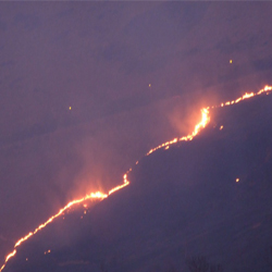 Forest Fire Detection Yolo Object Detection Model By Melihanilaydin