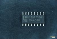 LIBS IC detection project thumbnail