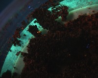 Cave samples project - Roboflow Universe