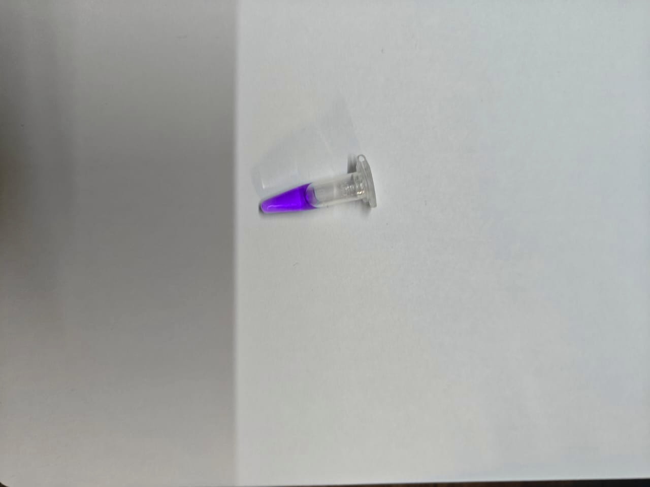 Test Tube Detection Object Detection Model by Subodhs Workspace