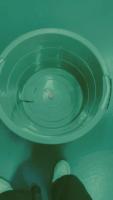 cam_bot_water project thumbnail
