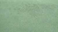 Turfgrass Diseases project thumbnail