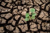 soil detection project thumbnail