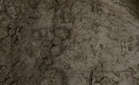 Soil project thumbnail