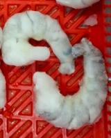 Glazed Prawns project thumbnail